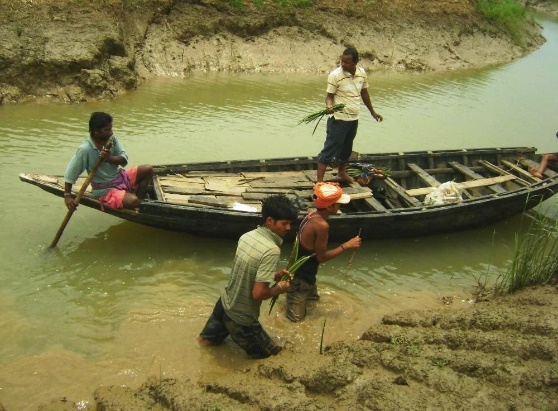 Hansua River Ecosystem - Kendrapada