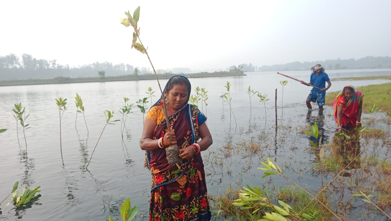 Siali Ecosystem - Jagatsinghpur
